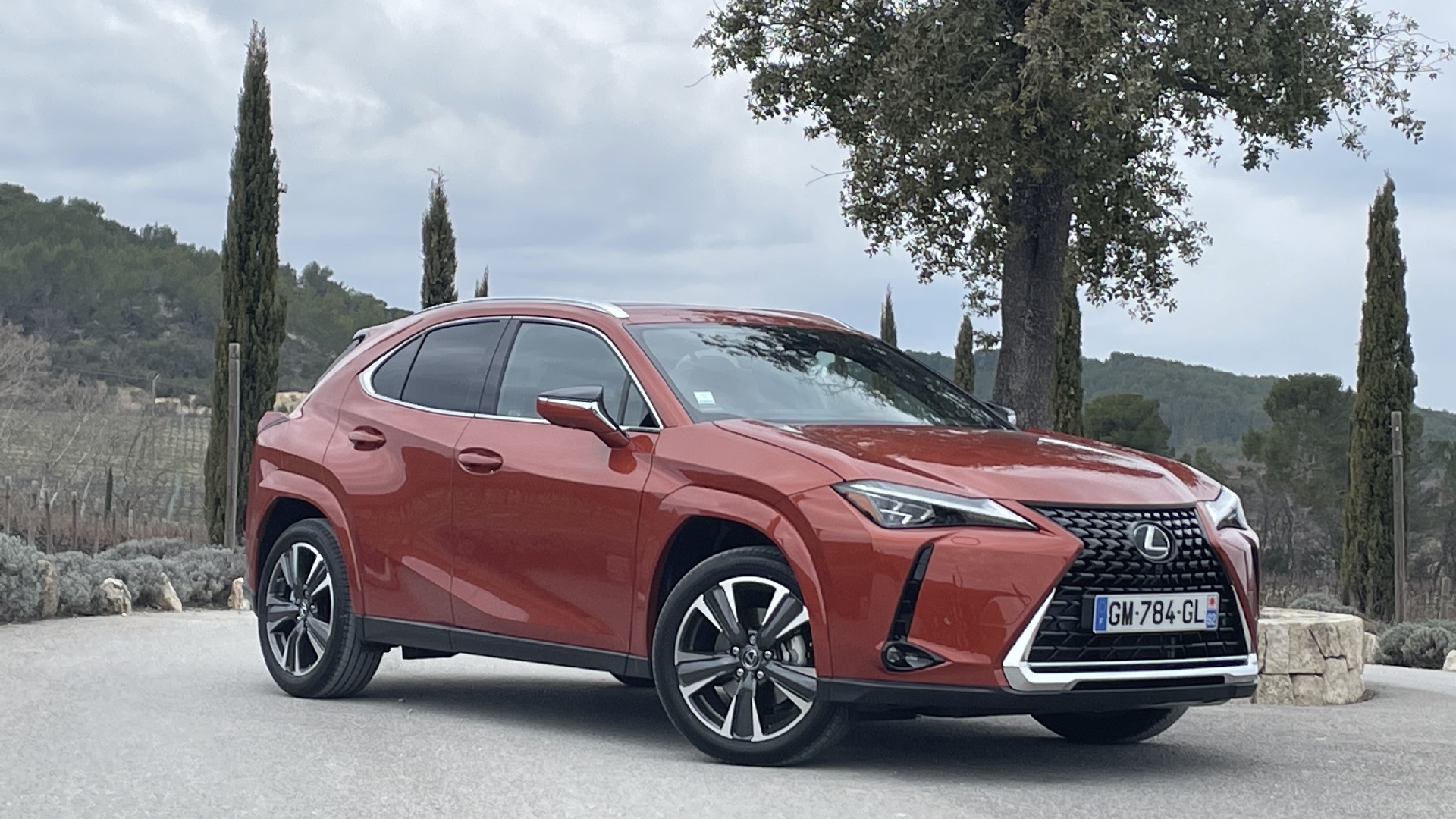 Lexus UX 300h Business